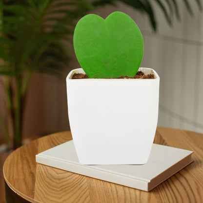 Combo set of Air Purifying Plants -Money Plant Pothos & Hoya Heart