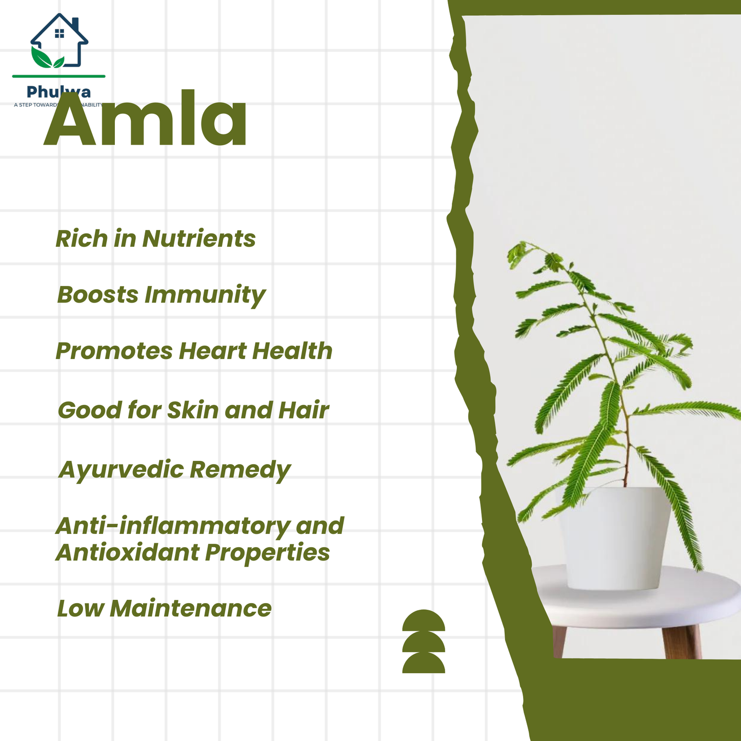 amla