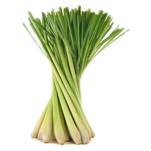 Lemon Grass