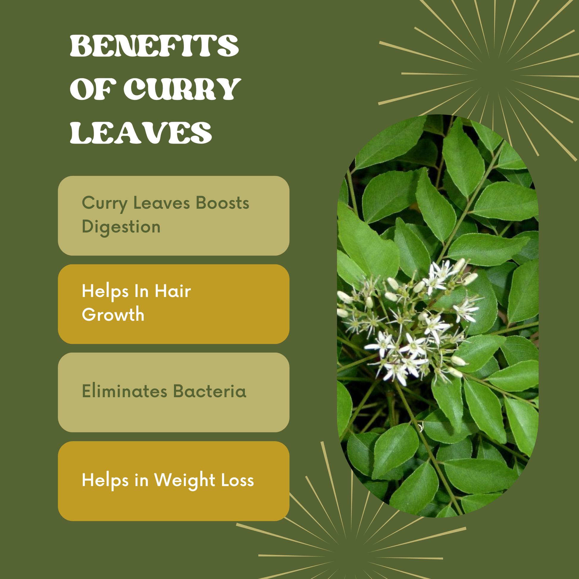 curry leaves and their benefits