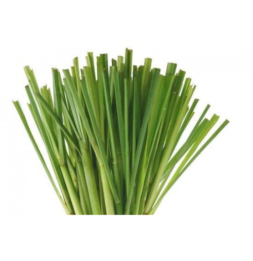 Lemon Grass